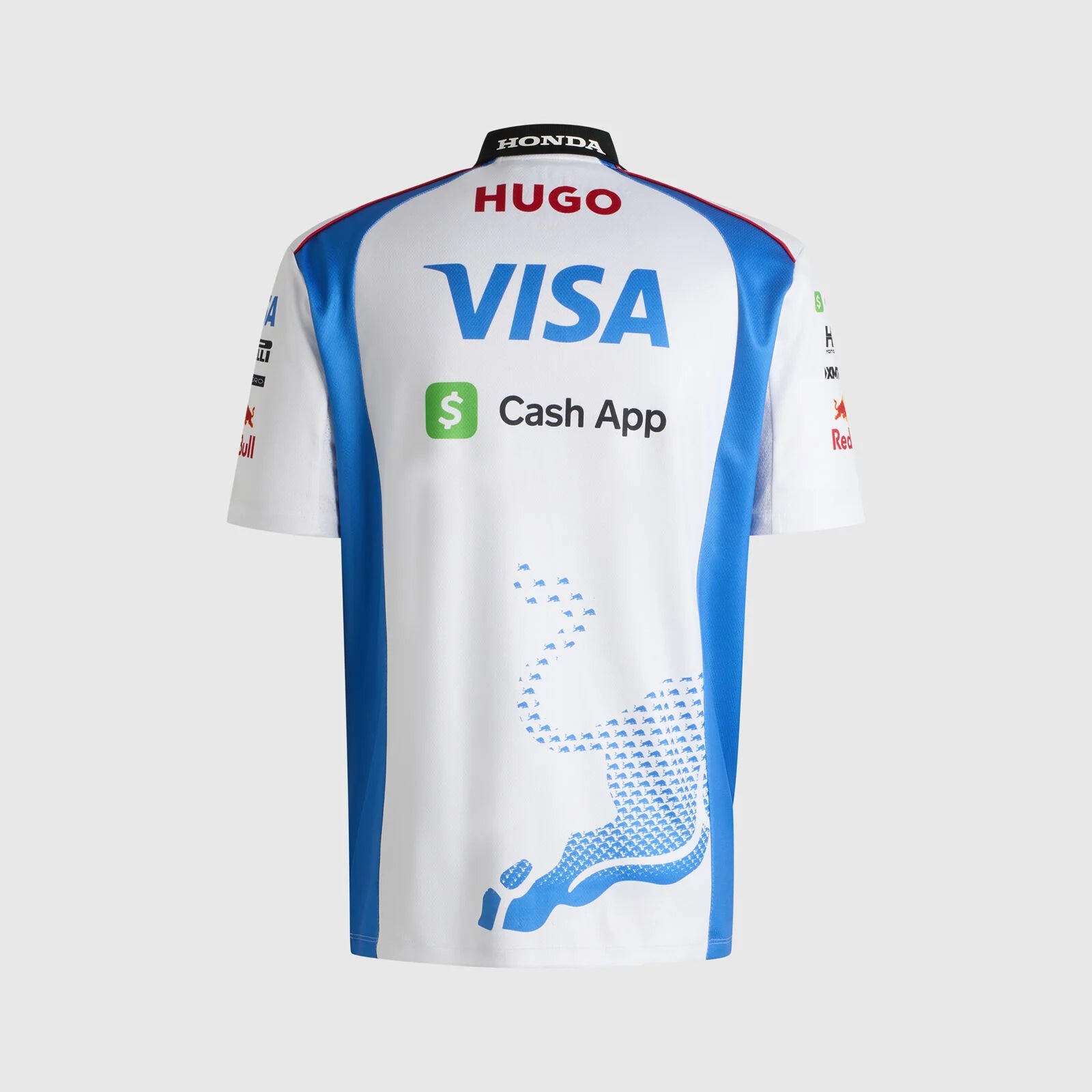 racingbulls-2025-back